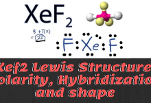 xef2 lewis structure