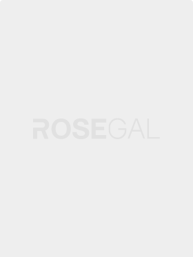 Image with missing alt attribute found on rosegal.com