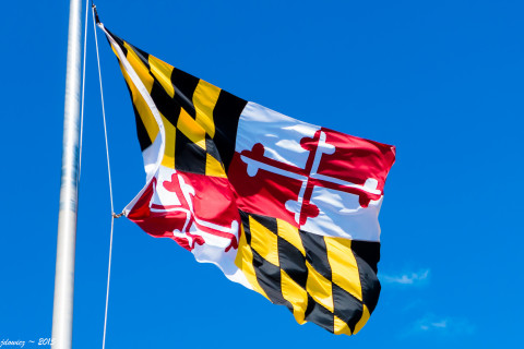 Image with missing alt attribute found on ggwash.org