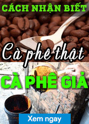 Image with missing alt attribute found on giacaphe.com