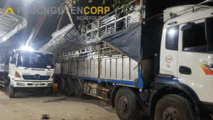 Image with missing alt attribute found on giangiaophucnguyen.com