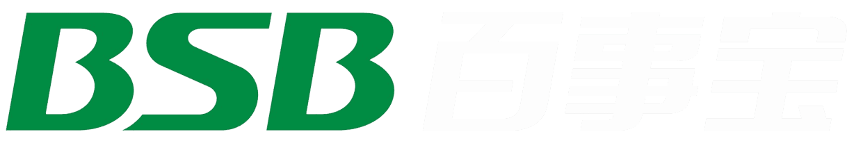 Image with missing alt attribute found on globalbsb.cn