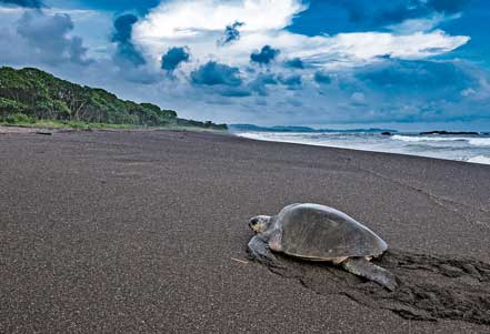 Image with missing alt attribute found on globetrotter.de