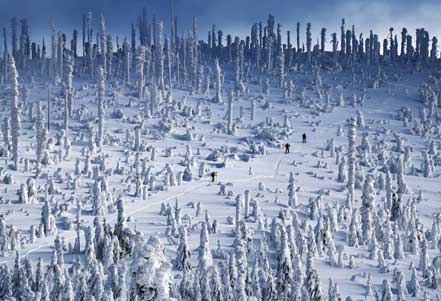 Image with missing alt attribute found on globetrotter.de