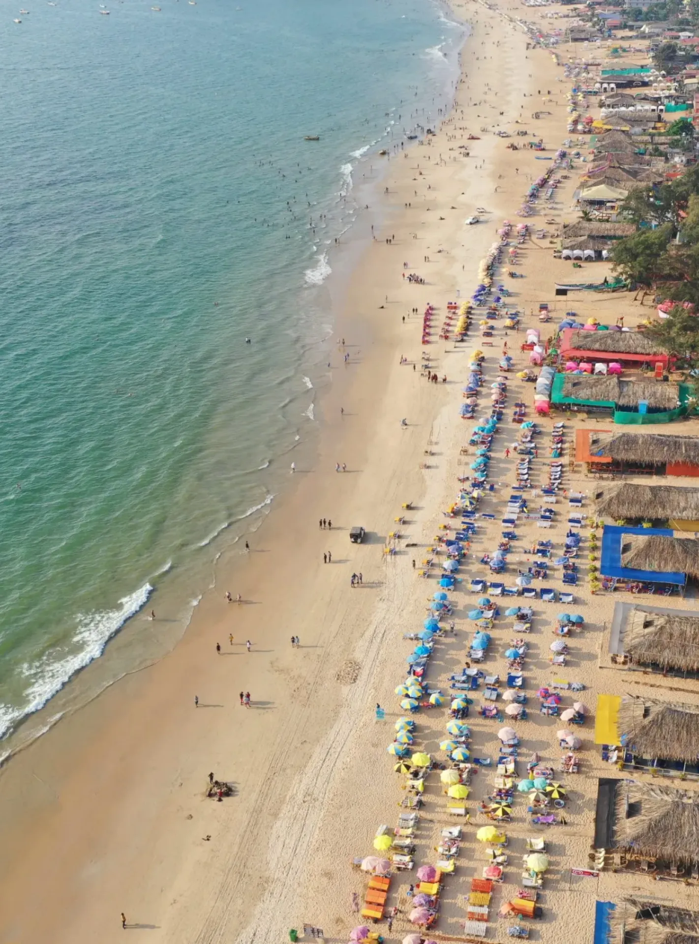 Image with missing alt attribute found on goatourtrip.com