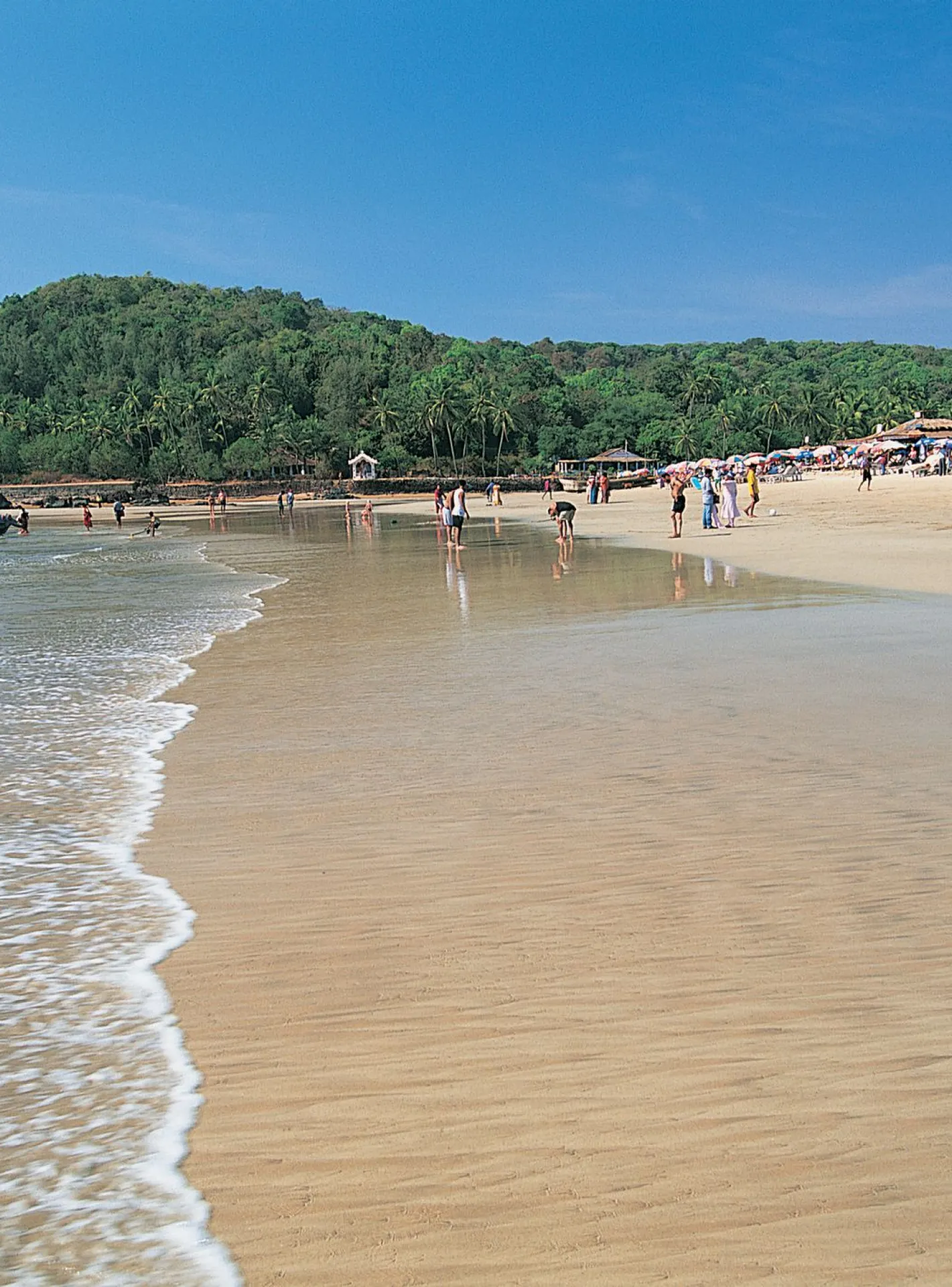 Image with missing alt attribute found on goatourtrip.com