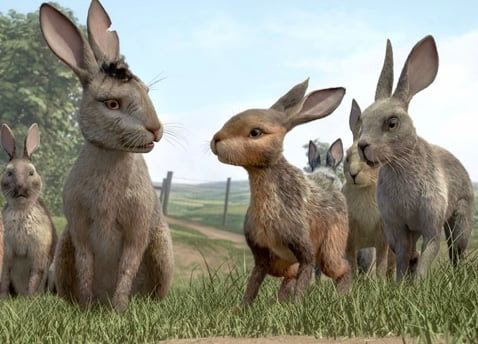 Image with missing alt attribute found on goldenchildpromotionspublishing.gold