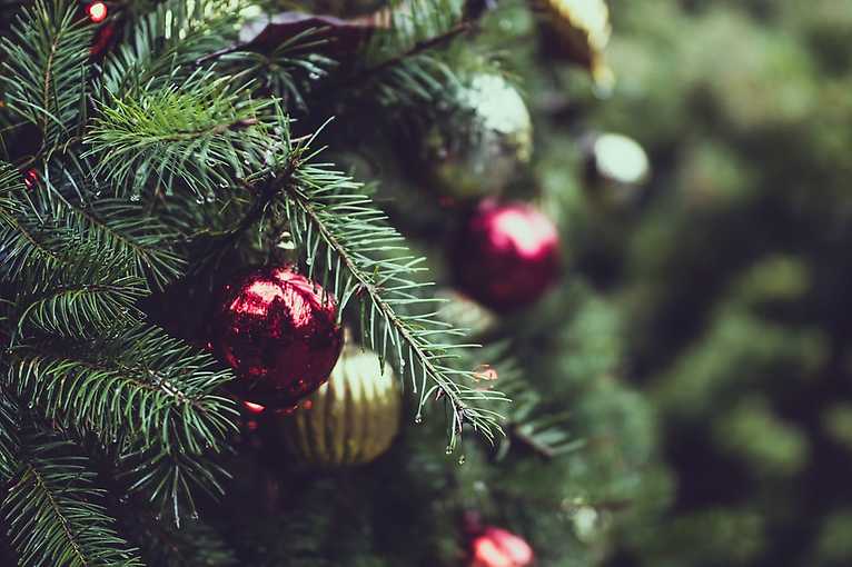 Image with missing alt attribute found on goout.net