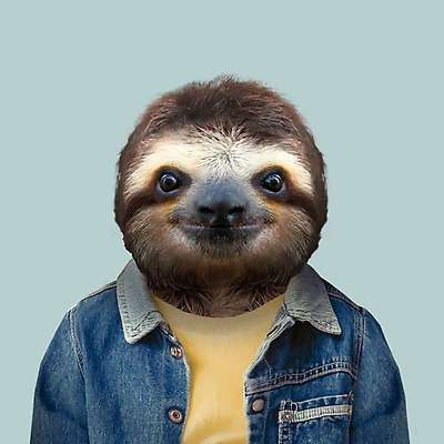 Image with missing alt attribute found on goout.net