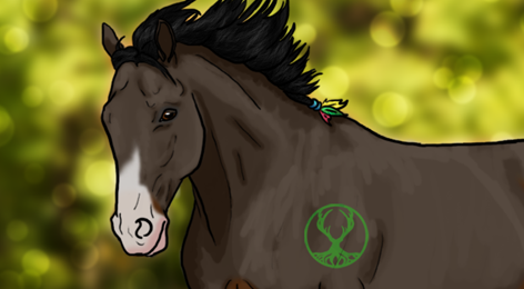 Image with missing alt attribute found on gportal.hu