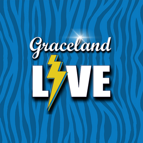 Image with missing alt attribute found on graceland.com