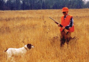 Image with missing alt attribute found on grafs.com