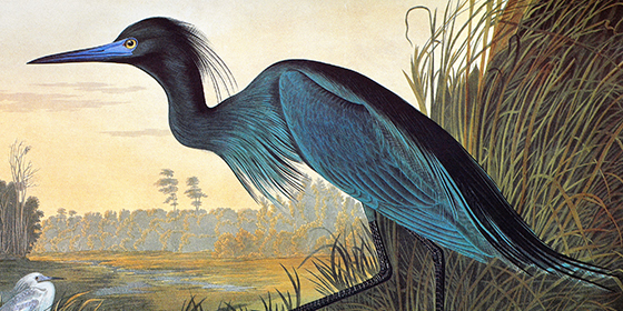 Image with missing alt attribute found on granger.com