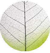 Image with missing alt attribute found on greenmedinfo.com