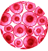 Image with missing alt attribute found on greenmedinfo.com