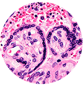 Image with missing alt attribute found on greenmedinfo.com