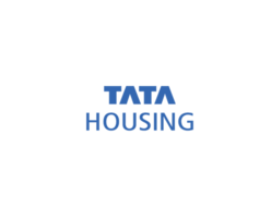 Image with missing alt attribute found on growmorestudio.com