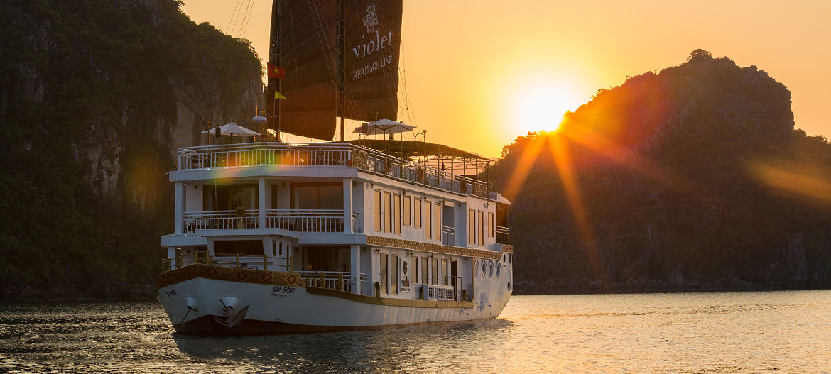 Image with missing alt attribute found on halongviolet.com