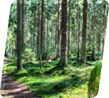 Image with missing alt attribute found on hansagartenhaus.at