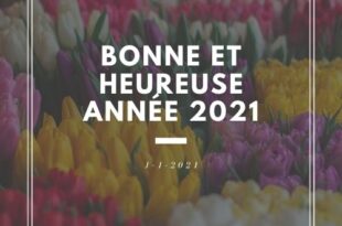 Bonne Et Heureuse Ann&eacute;e