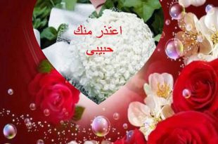 صورة صور اعتذار للحبيب , اجمل كلمات الاعتذار لمن تحب