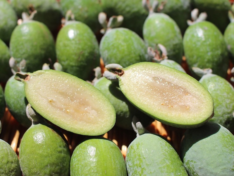 Image with missing alt attribute found on honestcooking.com