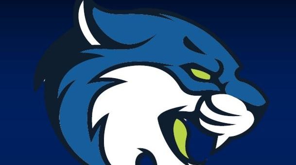 Image with missing alt attribute found on hoopdirt.com