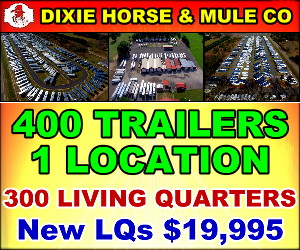 Image with missing alt attribute found on horsetrailerworld.com