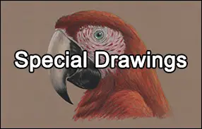 Image with missing alt attribute found on how2drawanimals.com