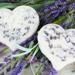 Lavender Essential Oil