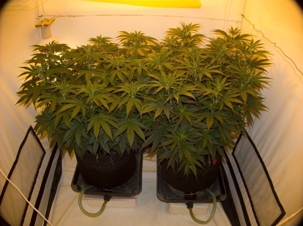 Image with missing alt attribute found on hs420.net