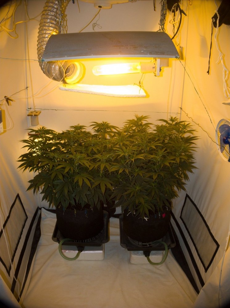 Image with missing alt attribute found on hs420.net