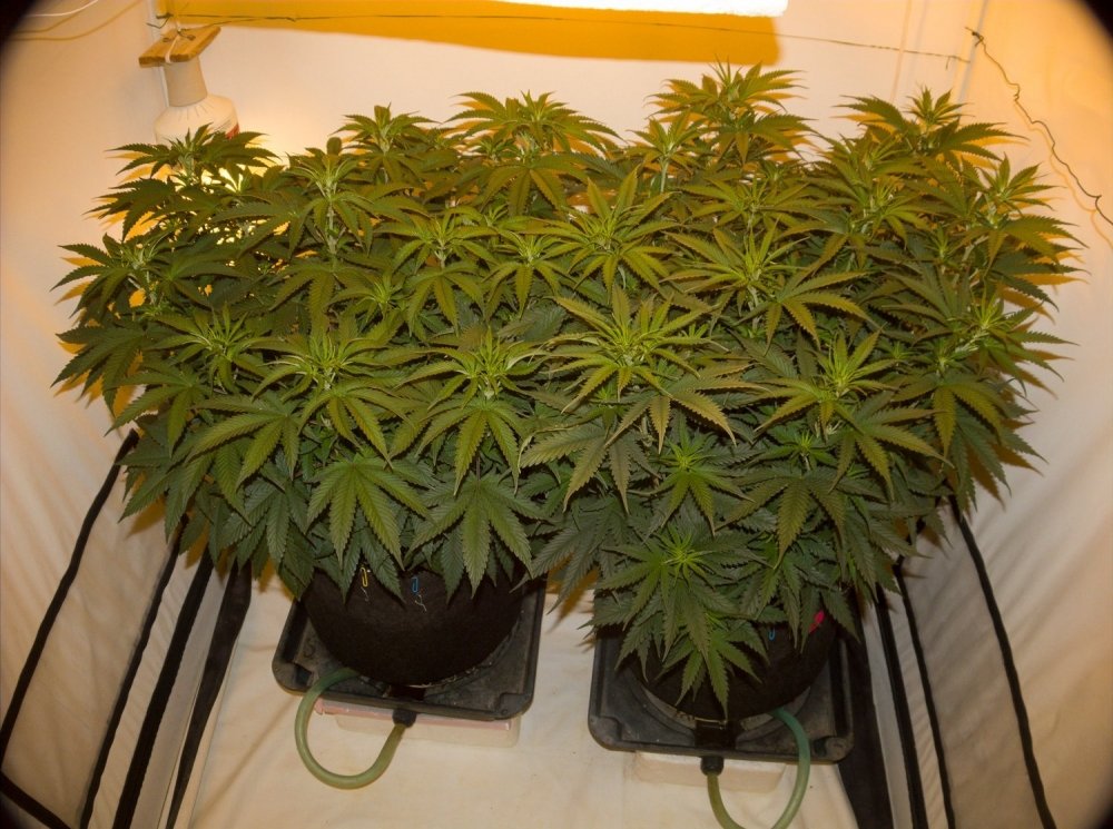 Image with missing alt attribute found on hs420.net