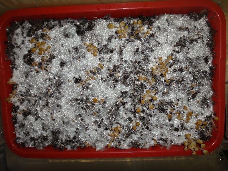 Image with missing alt attribute found on hs420.net