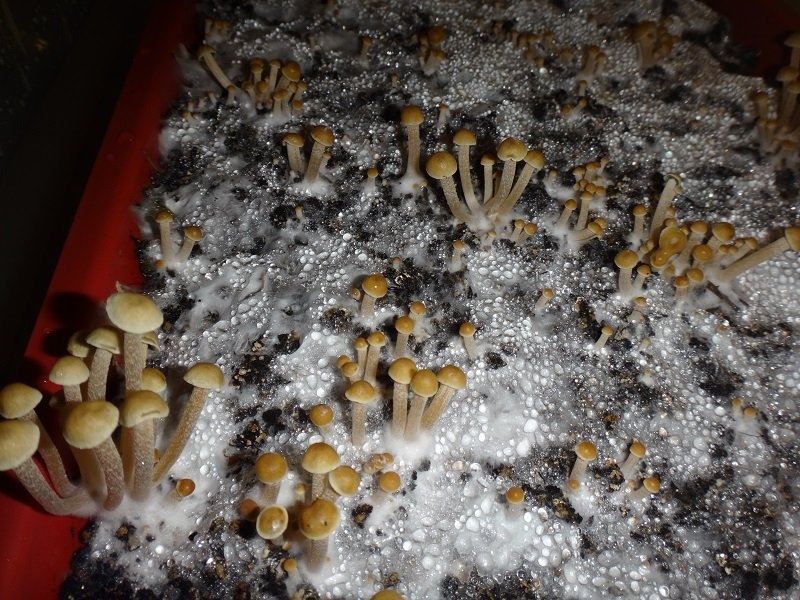 Image with missing alt attribute found on hs420.net