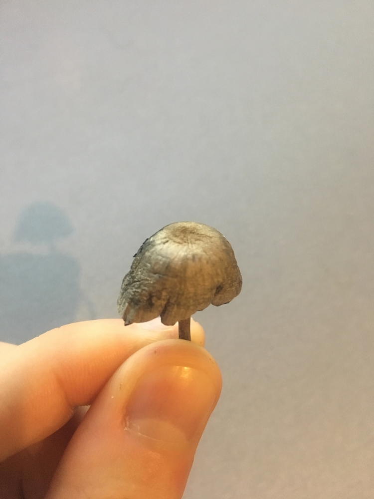 Image with missing alt attribute found on hs420.net