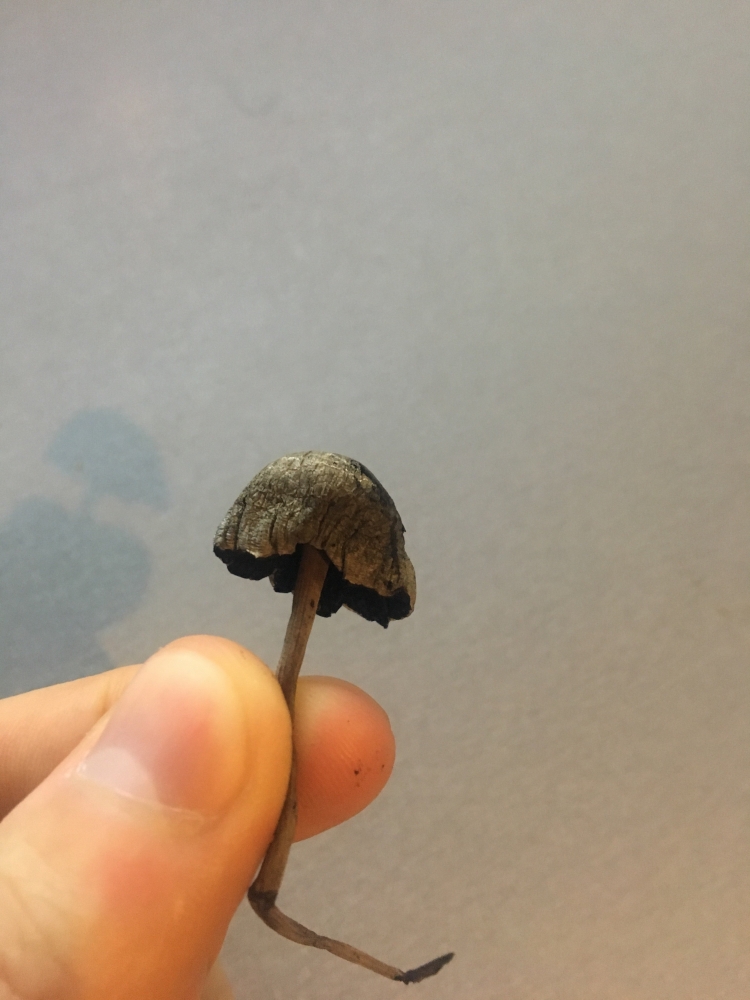 Image with missing alt attribute found on hs420.net