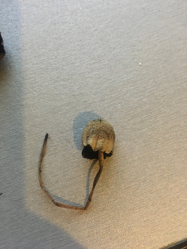 Image with missing alt attribute found on hs420.net