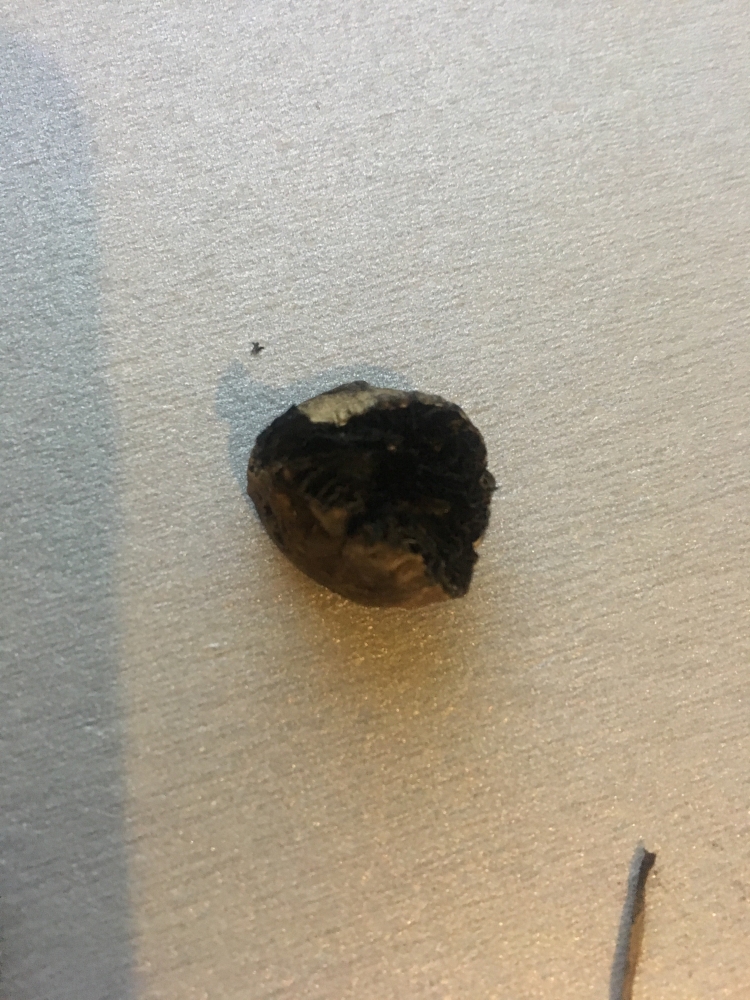 Image with missing alt attribute found on hs420.net