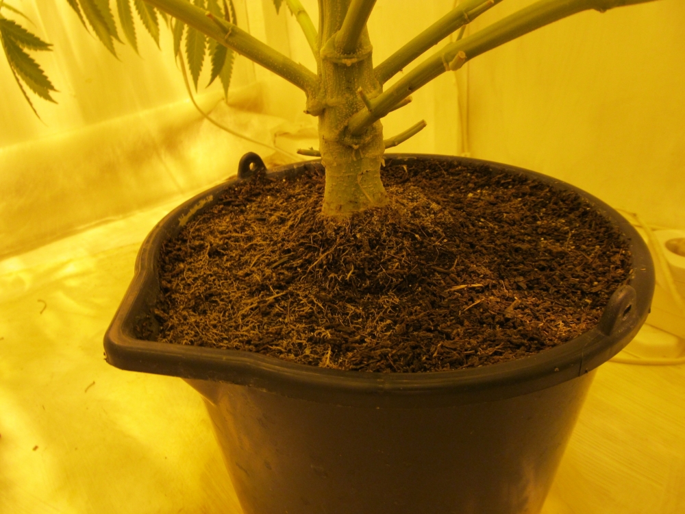 Image with missing alt attribute found on hs420.net