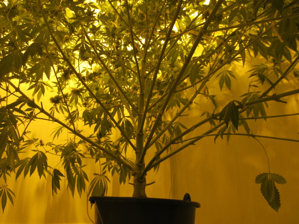 Image with missing alt attribute found on hs420.net