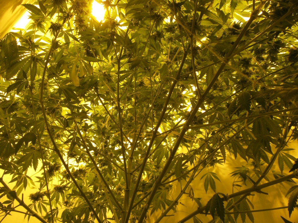 Image with missing alt attribute found on hs420.net