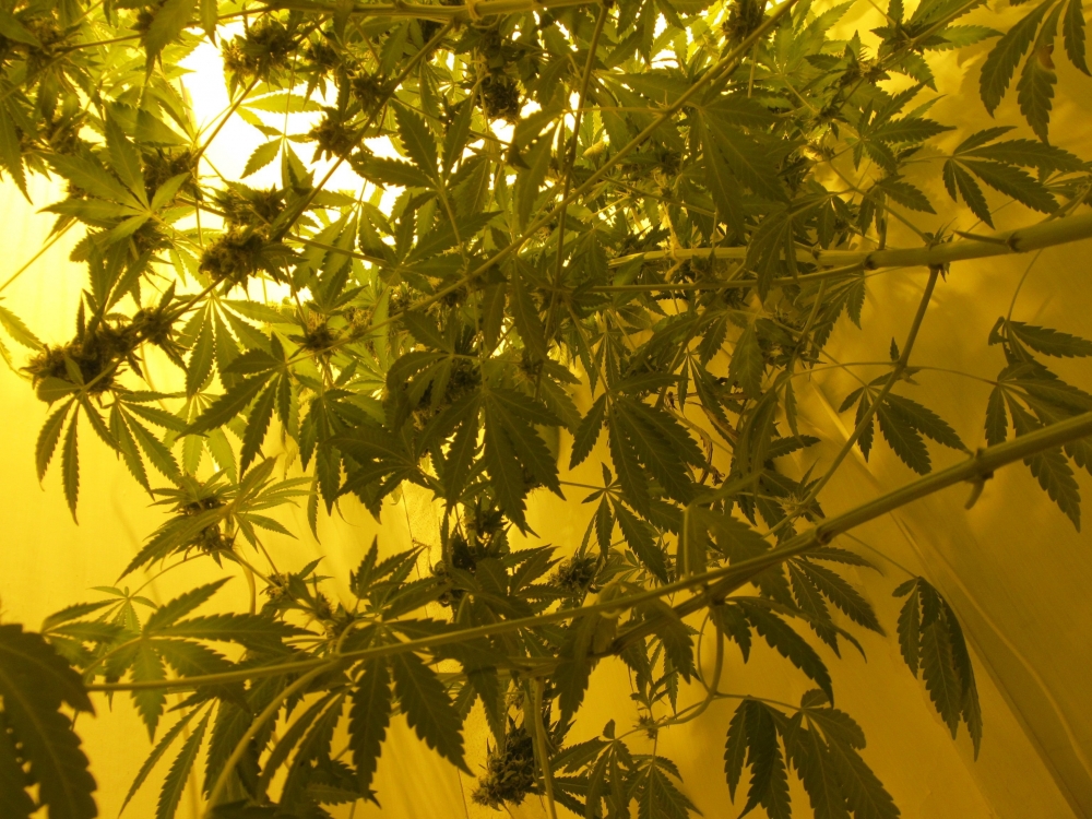 Image with missing alt attribute found on hs420.net