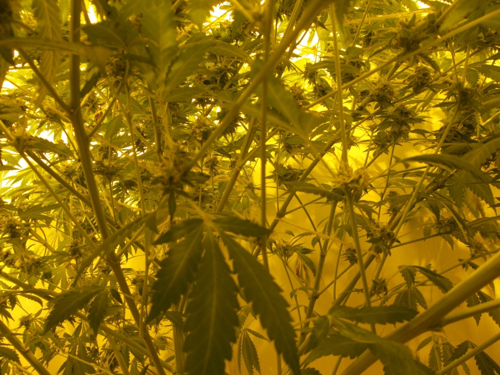 Image with missing alt attribute found on hs420.net