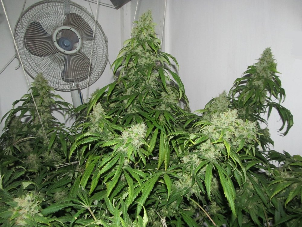 Image with missing alt attribute found on hs420.net