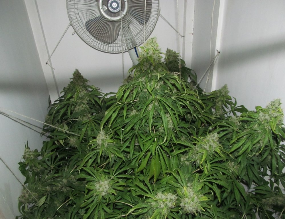 Image with missing alt attribute found on hs420.net