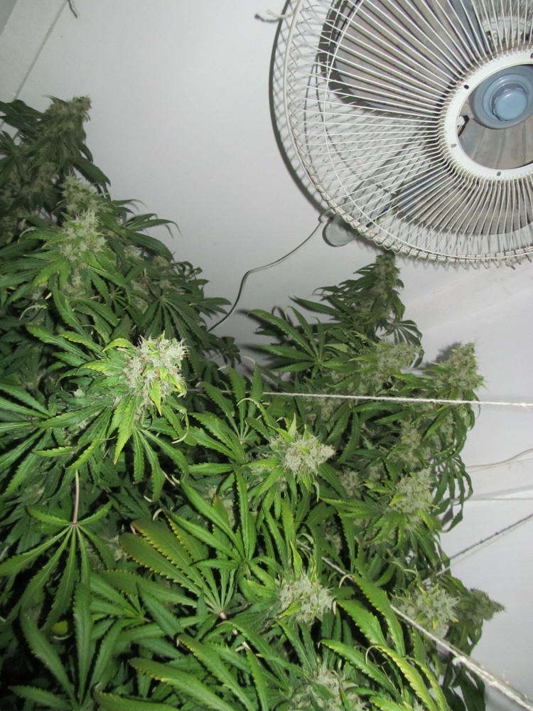 Image with missing alt attribute found on hs420.net