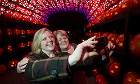 Image with missing alt attribute found on hudsonvalley.org