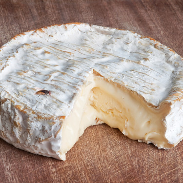 Los humanos llevamos casi 6.000 a&ntilde;os comiendo l&aacute;cteos. Y se lo debemos todo a una mosca