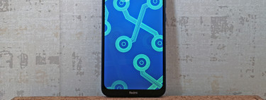 Xiaomi Redmi 8, an&aacute;lisis: un gama baja que sorprende por su autonom&iacute;a